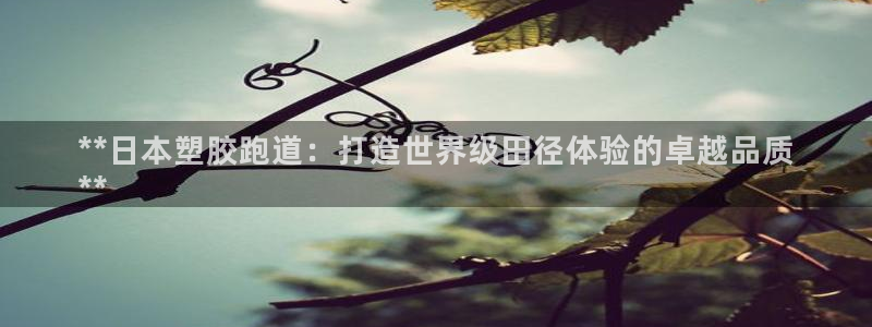 谈球吧平台app下载网址是什么：**日本塑胶跑道：打造世界级田径体验的卓越品质
**