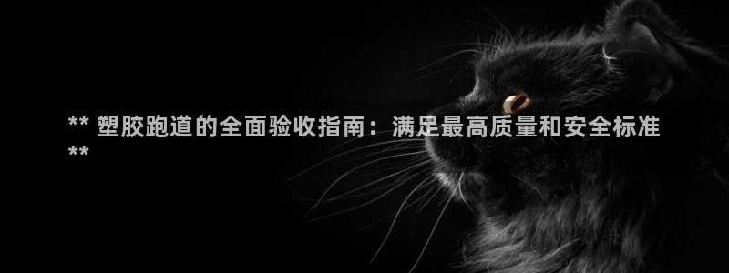 谈球吧app下载安装：** 塑胶跑道的全面验收指南：