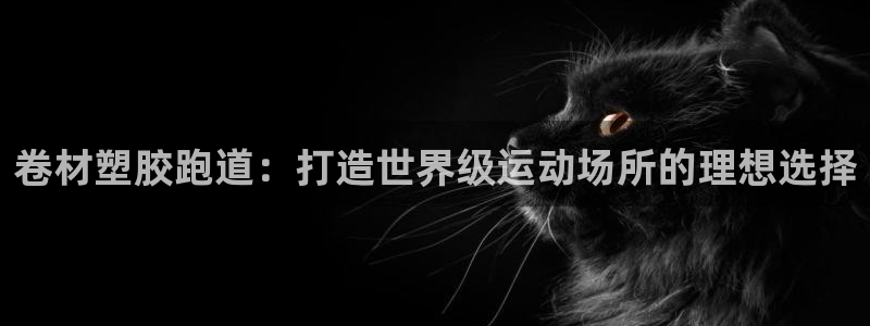 谈球吧tvt：卷材塑胶跑道：打造世界级运动场所的理想