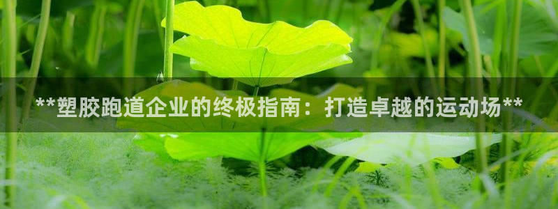 谈球吧的聊天软件叫什么名字：**塑胶跑道企业的终极指南：打造卓越的运动场**