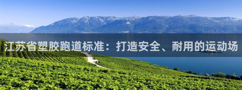 谈球吧体育app下载中心官方：江苏省塑胶跑道标准：打