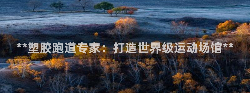 谈球吧的聊天软件下载：**塑胶跑道专家：打造世界级运