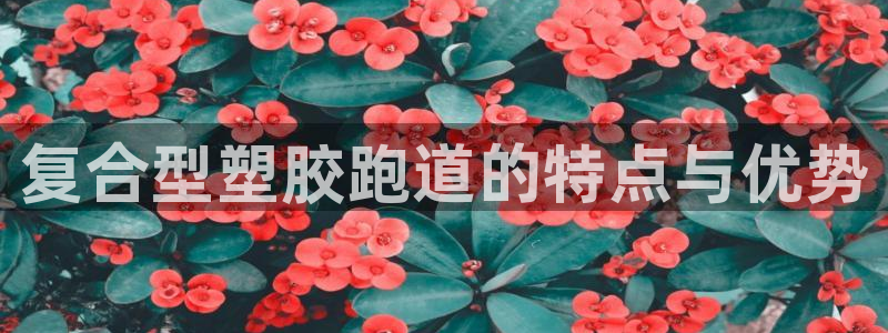 谈球吧账号有人收吗：复合型塑胶跑道的特点与优势