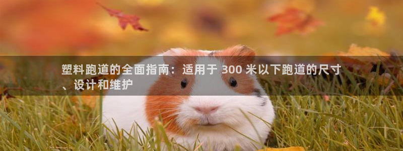 谈球吧体育app官网下载安装：塑料跑道的全面指南：适用于 300 米以下跑道的尺寸
、设计和维护