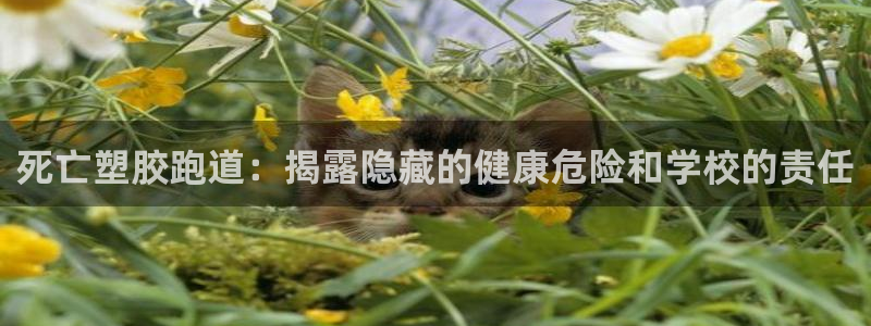 谈球吧是黑台子吗还是白台：死亡塑胶跑道：揭露隐藏的健康危险和学校的责任