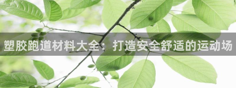 谈球吧体育app下载官网苹果版：塑胶跑道材料大全：打造安全舒适的运动场