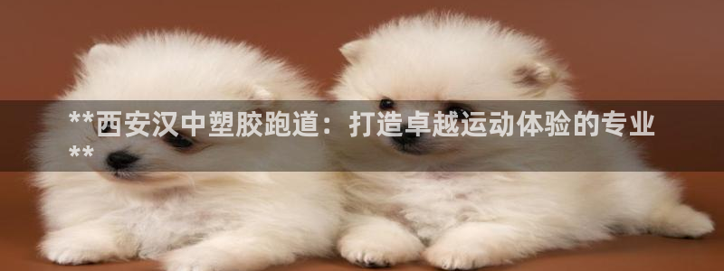 谈球吧网址：**西安汉中塑胶跑道：打造卓越运动体验的专业
**