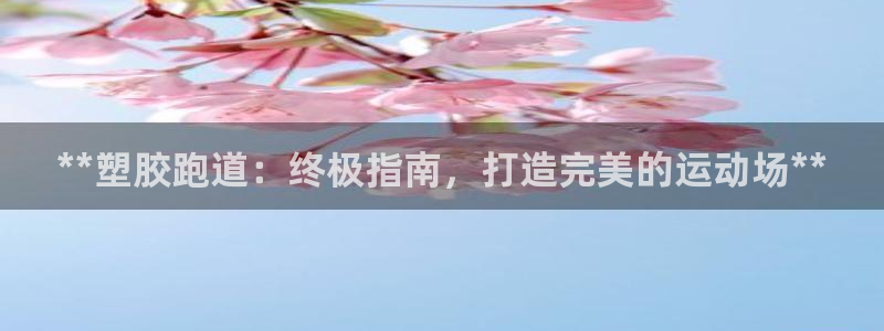 谈球吧算违法行为吗为什么：**塑胶跑道：终极指南，打造完美的运动场**