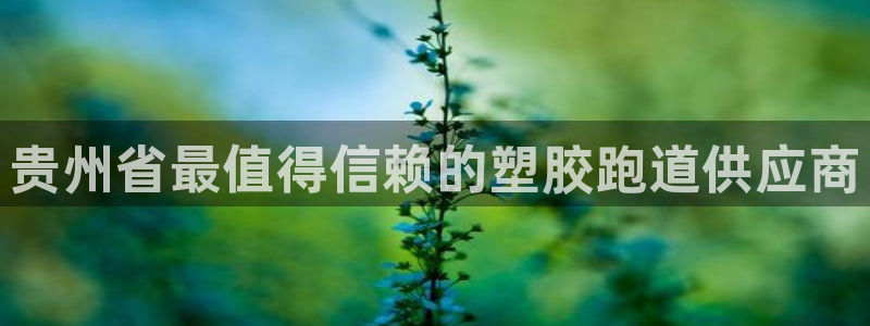 谈球吧体育app官网下载安卓：贵州省最值得信赖的塑胶