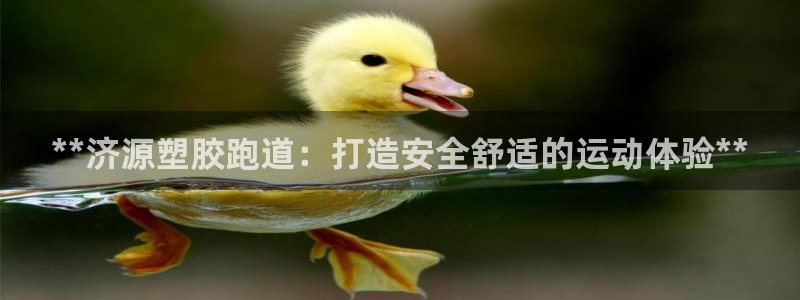 谈球吧咋样：**济源塑胶跑道：打造安全舒适的运动体验**