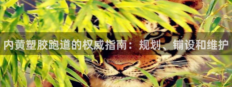 谈球吧与普通平台对比：内黄塑胶跑道的权威指南：规划、铺设和维护