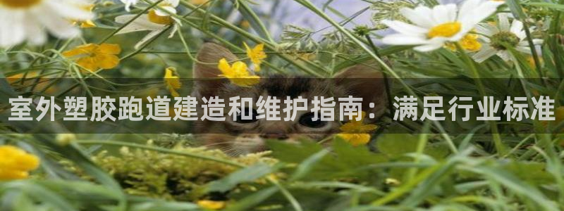 谈球吧网app官网下载：室外塑胶跑道建造和维护指南：满足行业标准