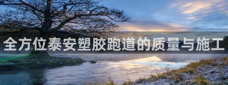 谈球吧买球靠谱吗：全方位泰安塑胶跑道的质量与施工