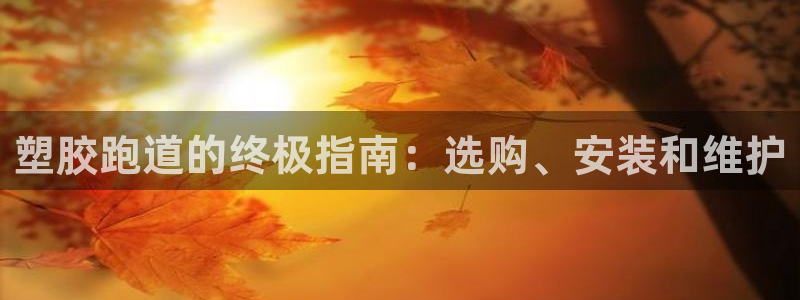 谈球吧app下载ios：塑胶跑道的终极指南：选购、安