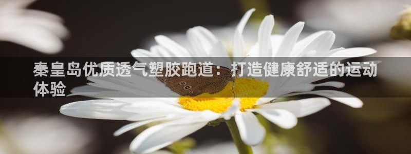 谈球吧tvt：秦皇岛优质透气塑胶跑道：打造健康舒适的运动
体验