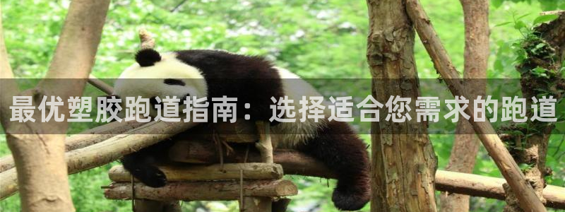 谈球吧官网app：最优塑胶跑道指南：选择适合您需求的跑道