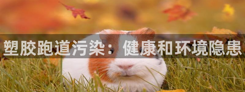 谈球吧是黑台子吗是真的吗：塑胶跑道污染：健康和环境隐患