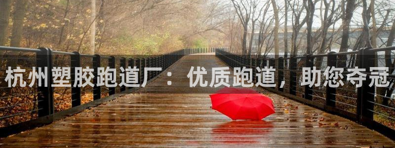 谈球吧在线登陆：杭州塑胶跑道厂：优质跑道，助您夺冠