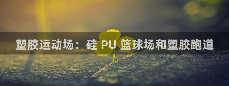 谈球吧官网在线入口手机版免费下载：塑胶运动场：硅 PU 篮球场和塑胶跑道