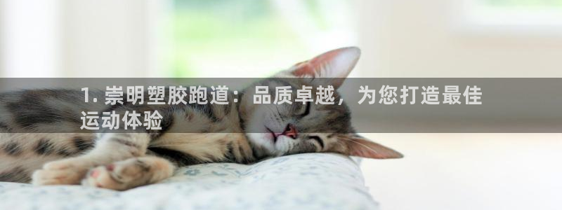 谈球吧体育：1. 崇明塑胶跑道：品质卓越，为您打造最