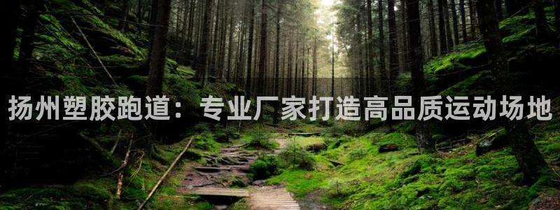 谈球吧是否诈骗：扬州塑胶跑道：专业厂家打造高品质运动