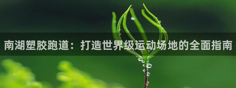 谈球吧app在哪里下载：南湖塑胶跑道：打造世界级运动场地的全面指南