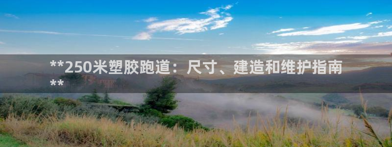 谈球吧平台app下载网址：**250米塑胶跑道：尺寸、建造和维护指南
**