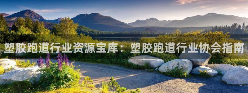 谈球吧下载地址：塑胶跑道行业资源宝库：塑胶跑道行业协会指南