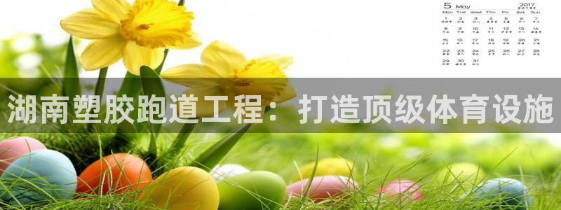 谈球吧体育赛事：湖南塑胶跑道工程：打造顶级体育设施