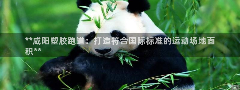 谈球吧官网在线入口免费观看视频网站：**咸阳塑胶跑道：打造符合国际标准的运动场地面
积**