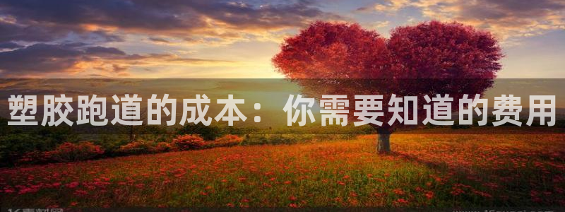 谈球吧官网在线入口手机版下载：塑胶跑道的成本：你需要知道的费用