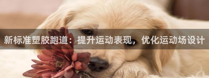 谈球吧体育ios下载：新标准塑胶跑道：提升运动表现，