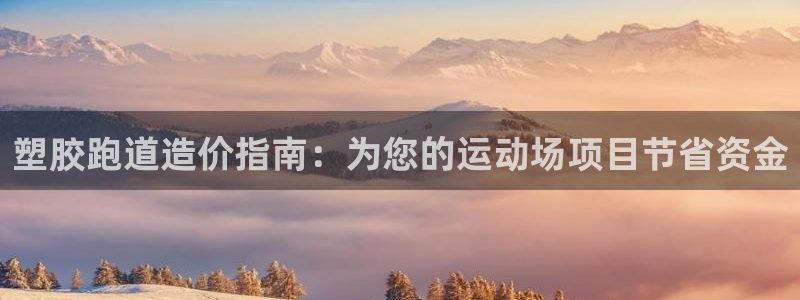 谈球吧中国官方网站：塑胶跑道造价指南：为您的运动场项