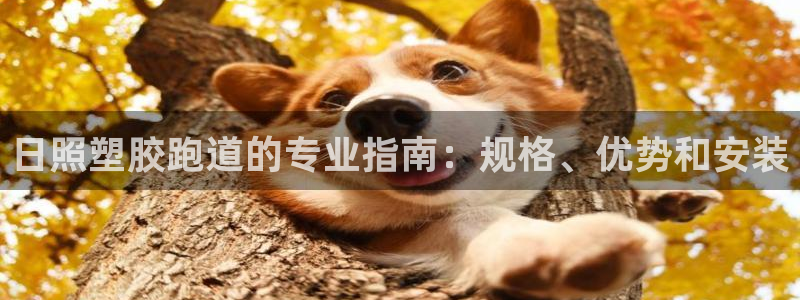 谈球吧算违法行为吗为什么：日照塑胶跑道的专业指南：规格、优势和安装