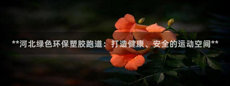 谈球吧是黑台子吗知乎全文：**河北绿色环保塑胶跑道：