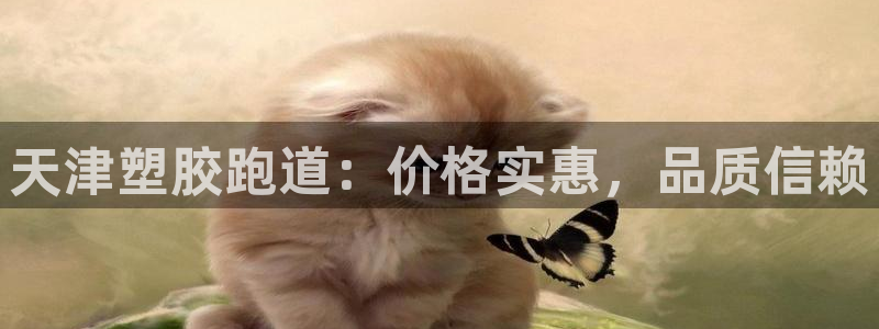 谈球吧体育在线：天津塑胶跑道：价格实惠，品质信赖