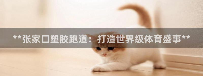 谈球吧app靠谱吗：**张家口塑胶跑道：打造世界级体