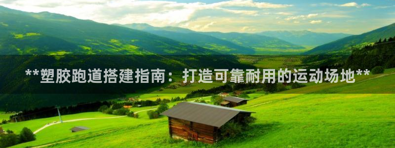 谈球吧中国官方网站：**塑胶跑道搭建指南：打造可靠耐用的运动场地**