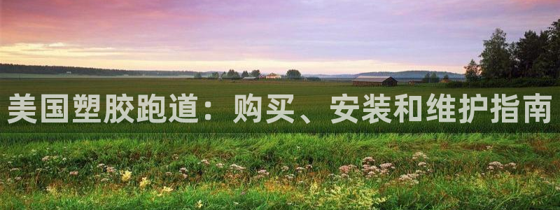 谈球吧是正规平台吗：美国塑胶跑道：购买、安装和维护指南