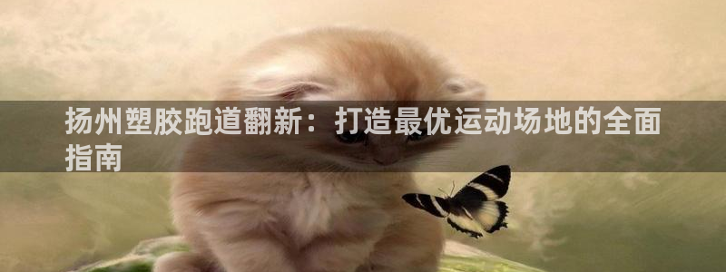 谈球吧综合官网app：扬州塑胶跑道翻新：打造最优运动场地的全面
指南