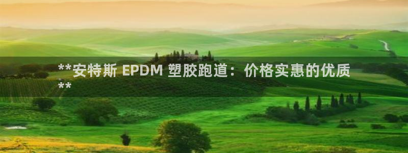 谈球吧体育app官网下载安卓：**安特斯 EPDM 塑胶跑道：价格实惠的优质
**