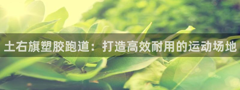 谈球吧体育app下载官网手机版：土右旗塑胶跑道：打造