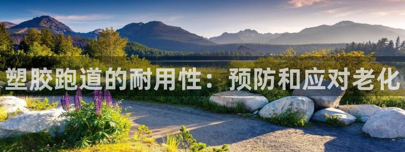 谈球吧红包码：塑胶跑道的耐用性：预防和应对老化