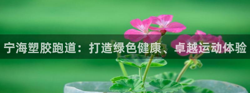 谈球吧平台正规吗可靠吗：宁海塑胶跑道：打造绿色健康、卓越运动体验
