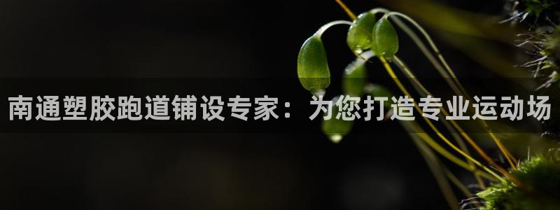 谈球吧平台：南通塑胶跑道铺设专家：为您打造专业运动场