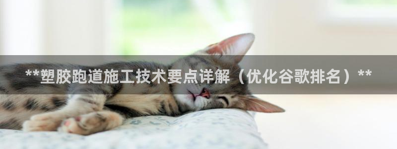 谈球吧中国：**塑胶跑道施工技术要点详解（优化谷歌排名）**