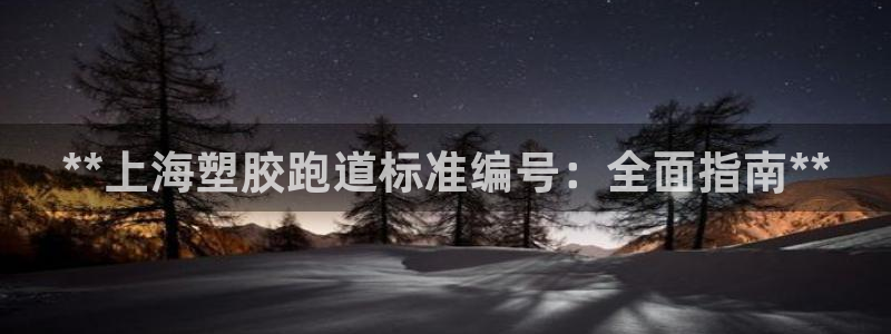 谈球吧怎么样：**上海塑胶跑道标准编号：全面指南**