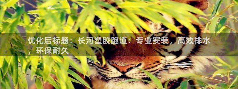 谈球吧红包激活码：优化后标题：长河塑胶跑道：专业安装