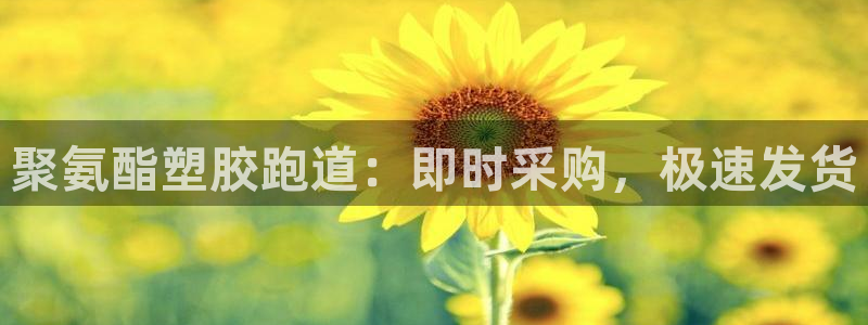 谈球吧app下载：聚氨酯塑胶跑道：即时采购，极速发货