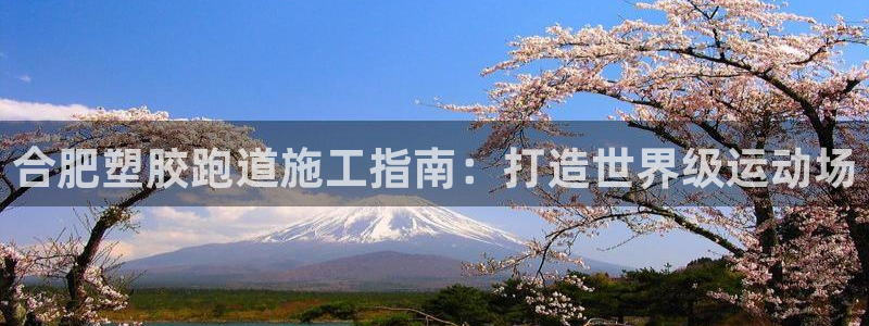 谈球吧app官网下载安卓：合肥塑胶跑道施工指南：打造世界级运动场